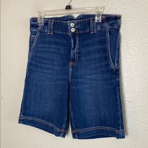 American Eagle Outfitters Indigo Denim Shorts/Jorts